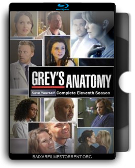 Grey's Anatomy 11ª Temporada Torrent