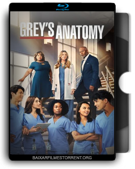 Grey’s Anatomy 19ª Temporada Torrent